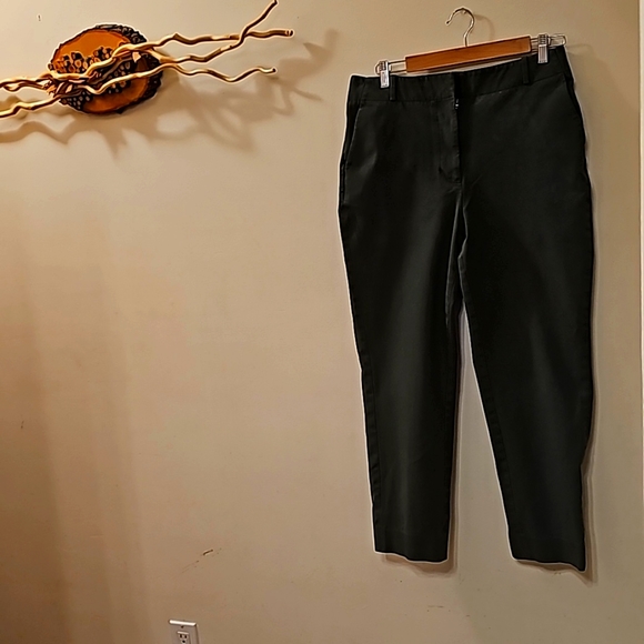 Size 10 DIANE VON FURSTENBERG SLACKS - Picture 1 of 2